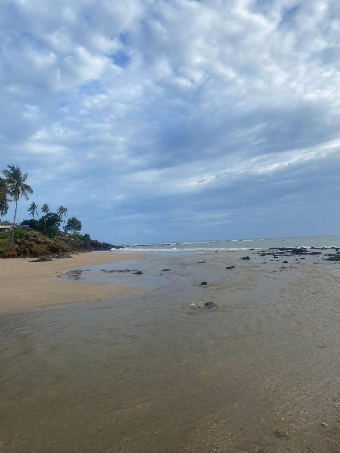 Arya Bungalow Ko Lanta Exteriér fotografie